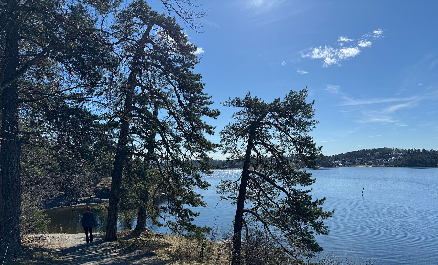 Vinterlandskap med snø